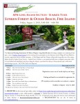 2018 Fire Island Tour Flyer&nbsp;FINAL2